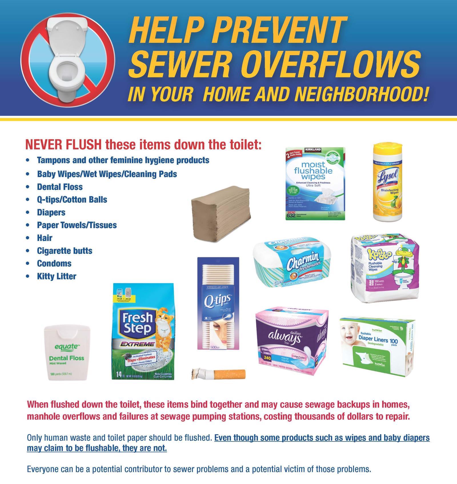 Prevent Sewer Overflow Flyer